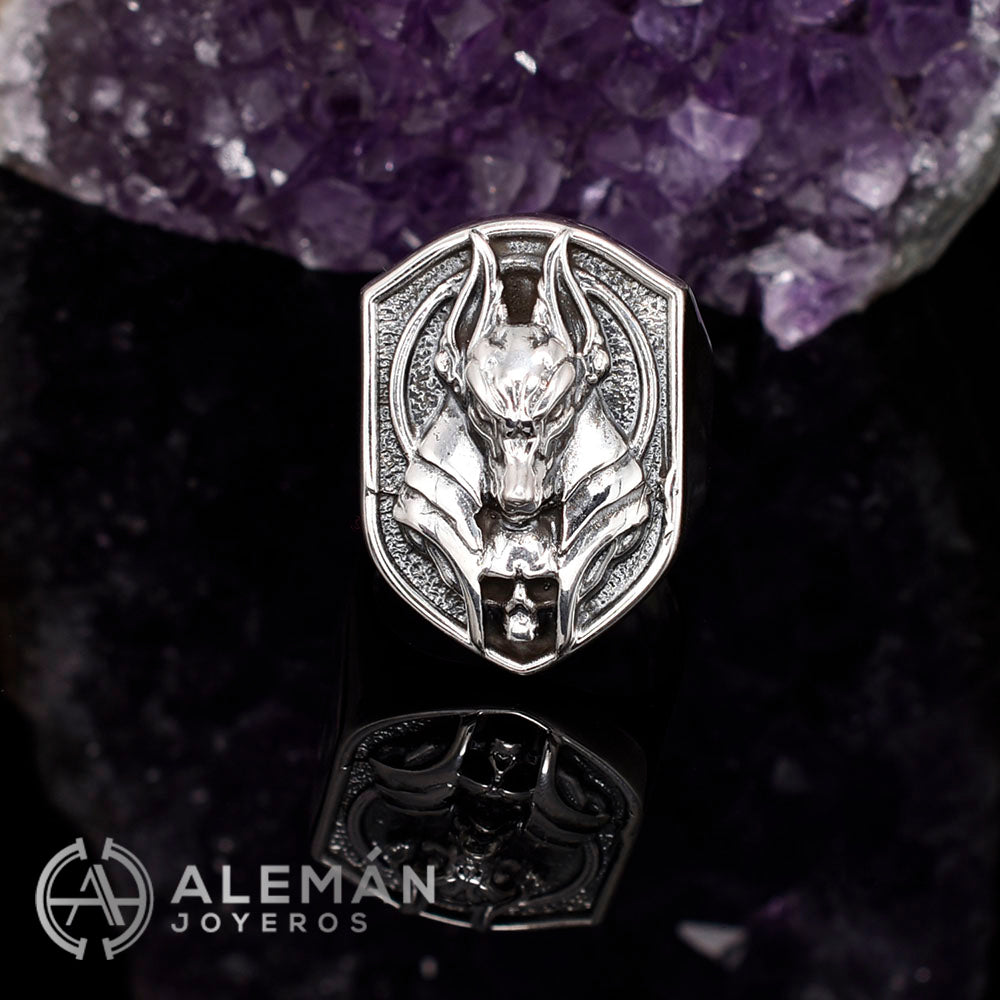 MWL 331-0171 Anillo de Plata .925 